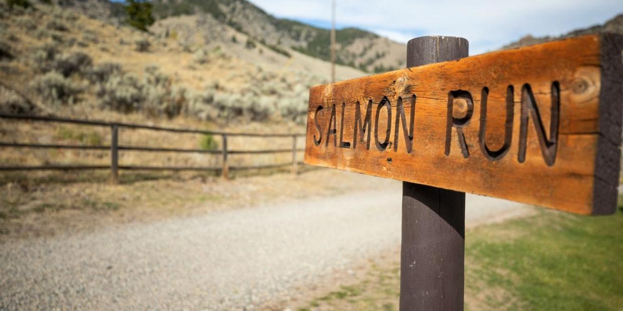 הוילה Salmon Twin Peaks Guest Ranch מראה חיצוני תמונה